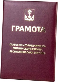 Грамота FEZA PLANO  бордовый  