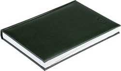 Ежедневник датированный на 2024 год  А5 Sevilia зеленый