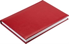 Ежедневник недатированный А5 Image красный